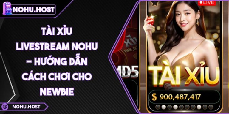 Tài Xỉu Livestream NOHU - Hướng Dẫn Cách Chơi Cho Newbie 4 Tài Xỉu Livestream NOHU - Hướng Dẫn Cách Chơi Cho Newbie
