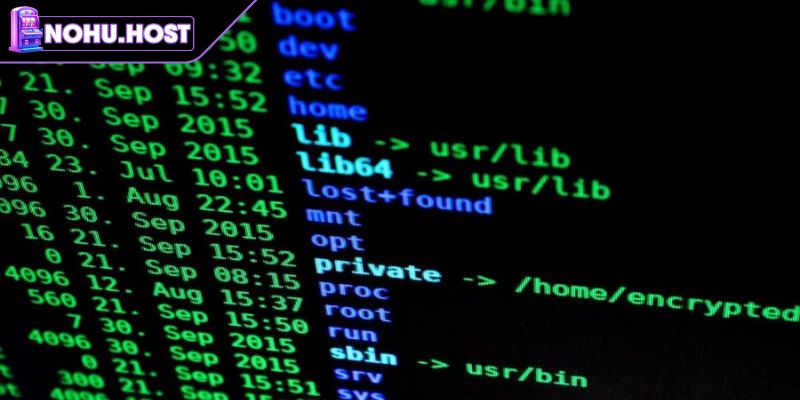 Tool Hack Nổ Hũ – Nguyên Lý Vận Hành Và Thực Trạng Hiện Nay 3 Nguyên lý của tool hack nổ hũ